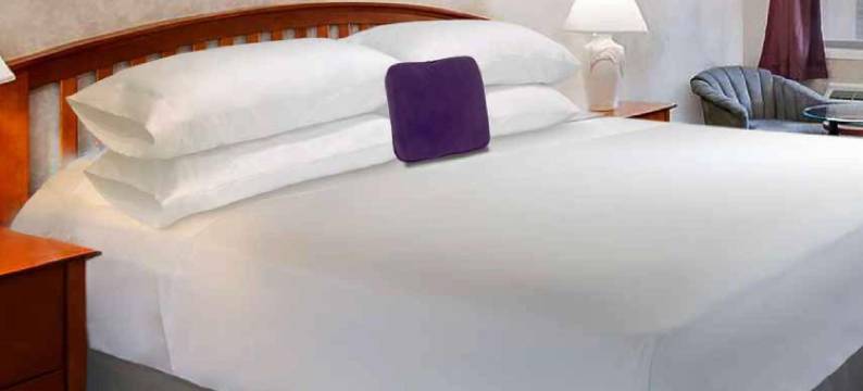 佛里斯特希尔骑士酒店(Knights Inn Forest Hill)图片