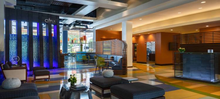 亚里索维耶荷俱乐部运动万丽酒店(Renaissance ClubSport Aliso Viejo Laguna Beach Hotel)图片