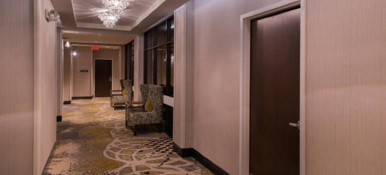 罗利克拉布特里谷希尔顿逸林酒店(DoubleTree by Hilton Raleigh Crabtree Valley)图片