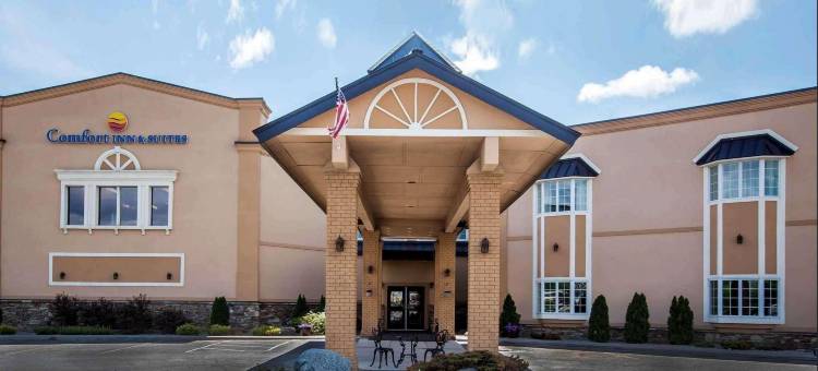莫里森维尔普拉茨堡凯艺套房酒店(Comfort Inn & Suites Plattsburgh - Morrisonville)图片