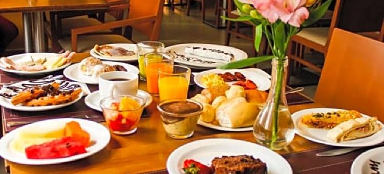 圣安德雷希尔顿花园酒店(Hilton Garden Inn Santo Andre)图片