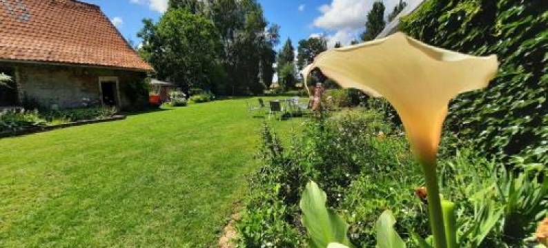 La Flandre Entre Plaine, Mer et Marais图片