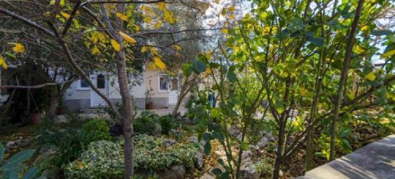 温科公寓酒店(Apartments Vinko)图片