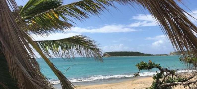 Vieques Good Vibe Guest House图片