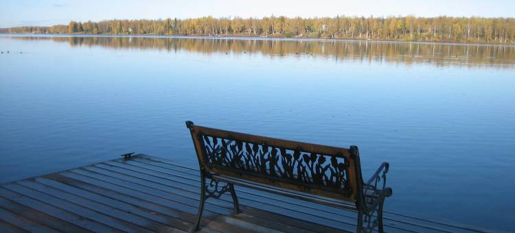 阿拉斯加湖露西尔食宿酒店(Alaska's Lake Lucille Bed & Breakfast)图片
