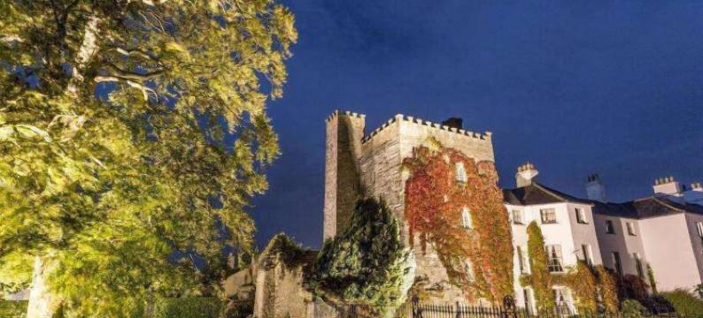 巴博斯特城堡酒店(Barberstown Castle)图片