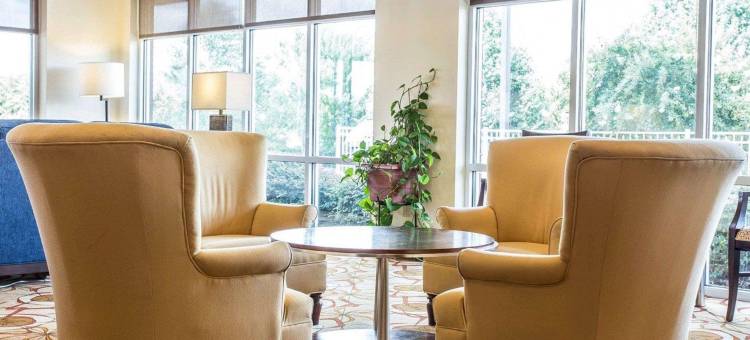 岩石丘曼彻斯特梅多斯区舒适套房酒店(Comfort Suites Rock Hill Manchester Meadows Area)图片