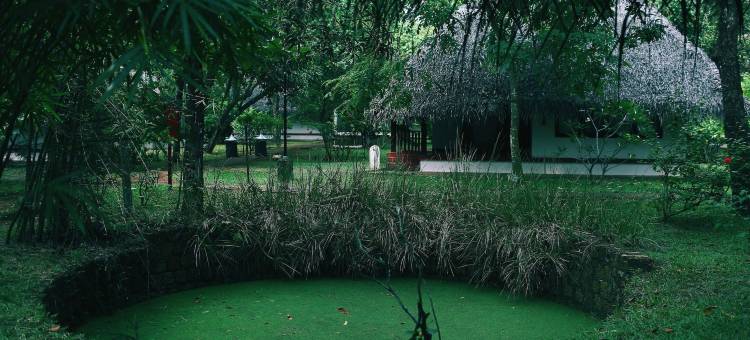 玛雅丽海滩 - 席格地球(Marari Beach Resort Alleppey- a CGH Earth Experience)图片