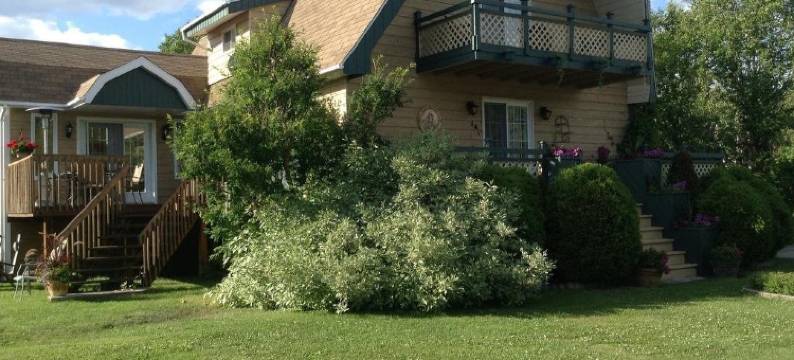 绿色树木住宿加早餐旅馆(Gîte Aux Bois-Verts)图片