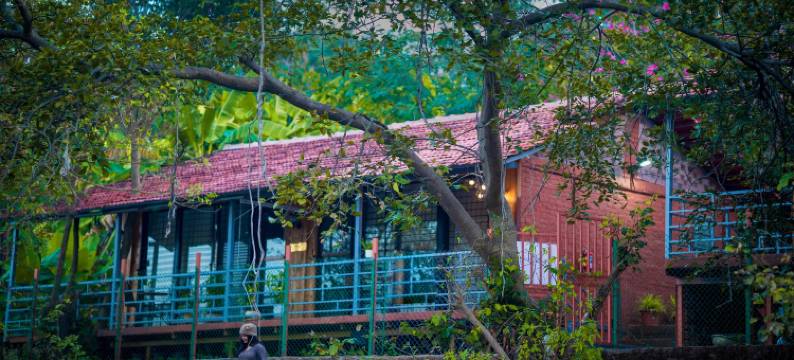 萨维达农场及小屋(SpicyMango Saveda Farm & Cottages)图片