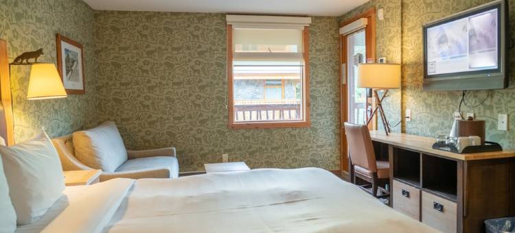 福克斯套房酒店(Fox Hotel and Suites)图片