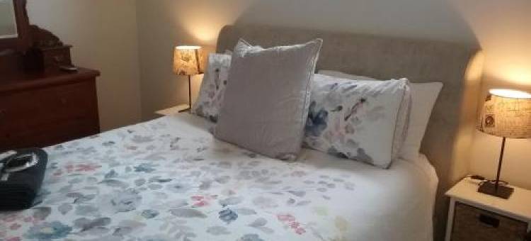 福雷斯特景观住宿加早餐旅馆(Fraser Views Bed and Breakfast)图片