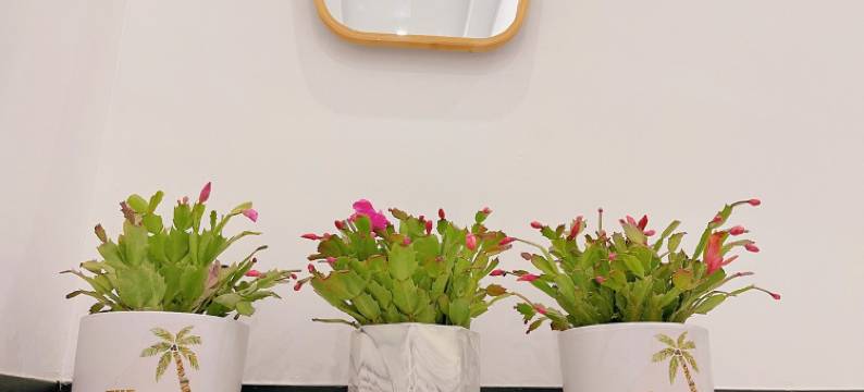 宣恩木子里民宿(兴隆老街店)图片