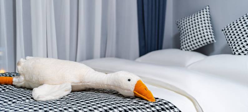 东郊记忆温馨小屋(杉板桥路1号分店)图片