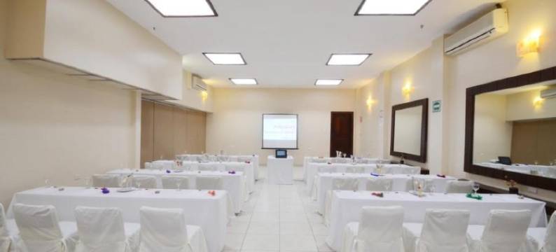 米西翁圣米格尔-德阿连德酒店(Hotel Misión San Miguel de Allende)图片