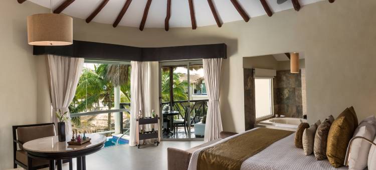 埃尔多拉多卡西塔斯皇家，全包及更多 - 限成人(El Dorado Casitas Royale Catamarán, Cenote & More Inclusive)图片