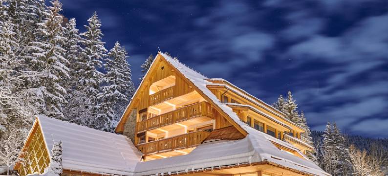 时尚精品酒店维拉普兰林卡(Boutique Hotel Vila Planinka)图片