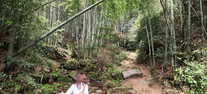 莫干山流年度假别墅(晓于线分店)图片