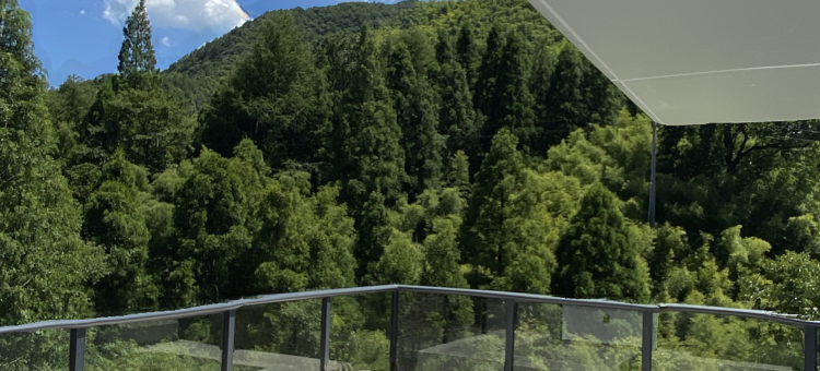 莫干山溪渡山居图片