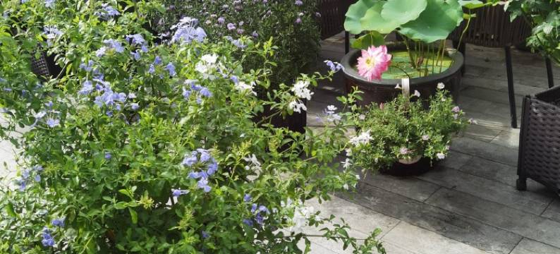 Yping公寓(尚书街分店)图片