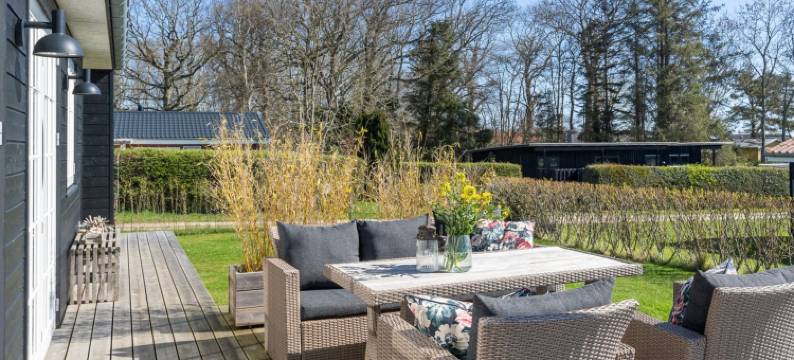 "Ovine" - 300m from the Sea图片