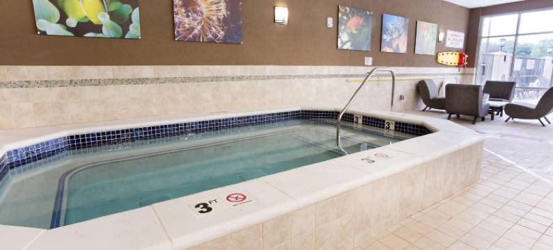 印第安纳波利斯-卡梅尔德鲁里广场酒店(Drury Plaza Hotel Indianapolis Carmel)图片