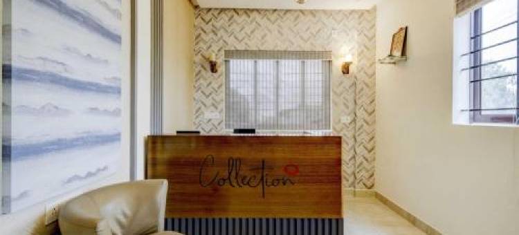 Super Collection O Royal Elevar图片