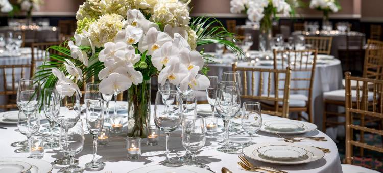 费耶特维尔希尔顿研究生酒店(Graduate by Hilton Fayetteville, AR)图片