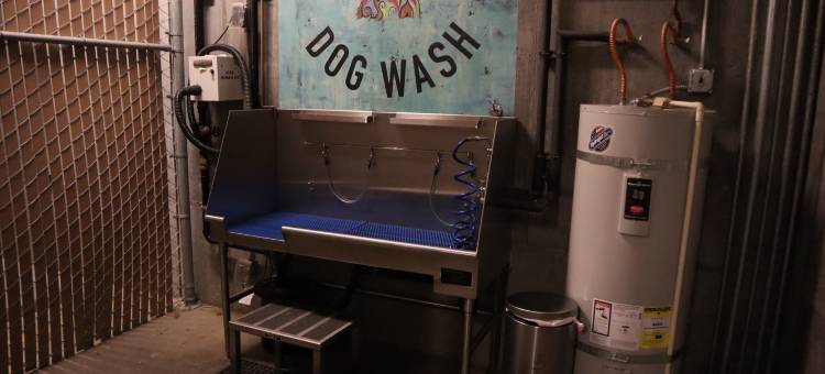 Recently Upgraded 1Br Apt – Downtown Location图片