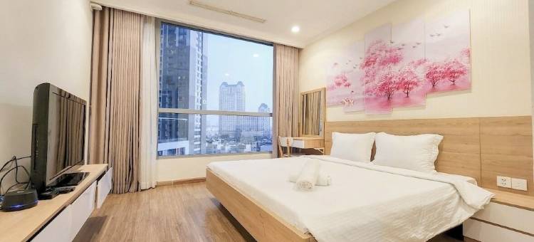聪颖 HCMC 服务式公寓酒店(Brilliant Hcmc Service Apartments)图片