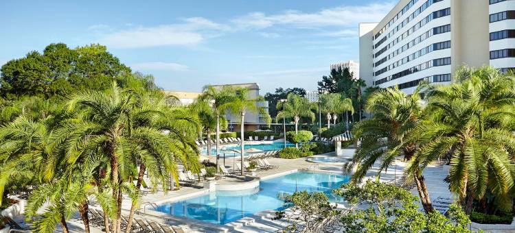 奥兰多希尔顿博伟湖酒店 - 迪斯尼泉™区(Hilton Orlando Lake Buena Vista - Disney Springs™ Area)图片