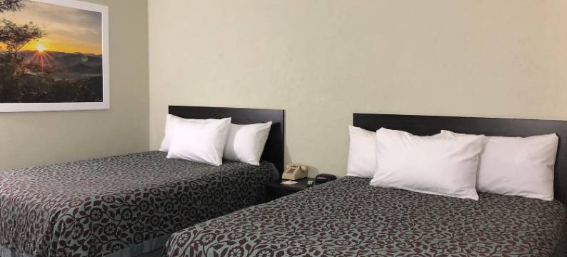 Elevation Lodge图片