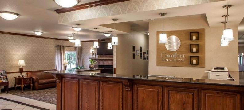 达文波特四城舒适套房酒店(Comfort Inn & Suites Davenport - Quad Cities)图片