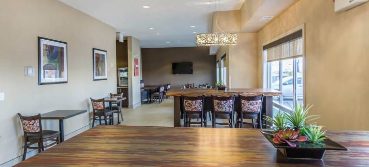 舒适套房酒店-埃德蒙顿国际机场(Comfort Inn & Suites Edmonton International Airport)图片