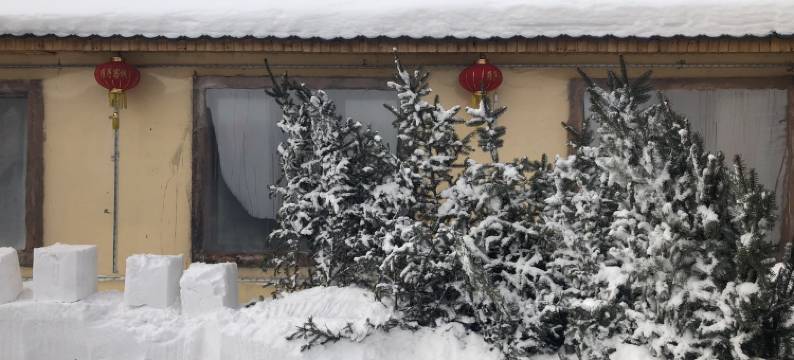 雪乡二浪河维子家民宿(大林公路分店)图片