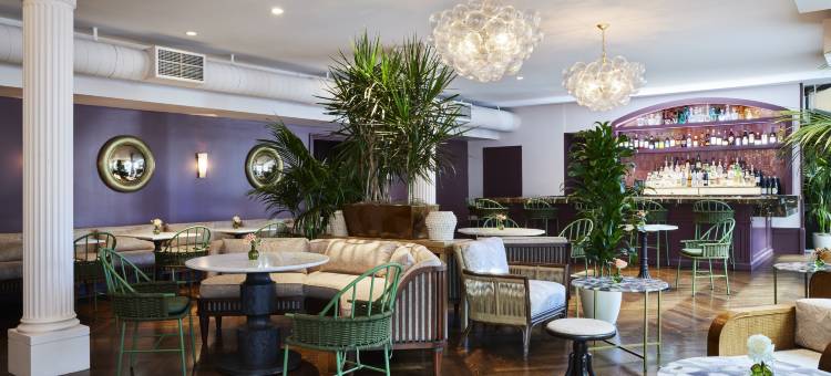 The Aster(阿斯特)(The Aster)图片