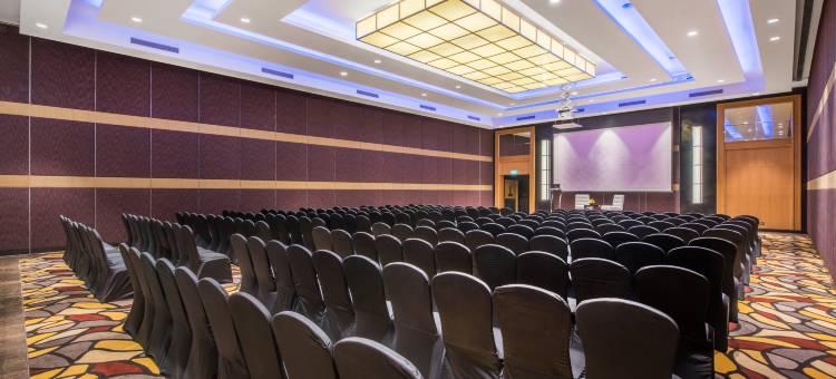 齐普尔通克路洲际酒店(InterContinental Jaipur Tonk Road)图片