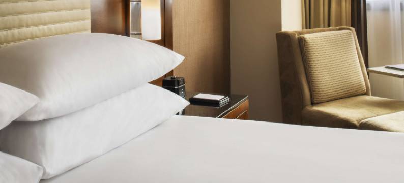 凯悦雷根西奥黑尔芝加哥(Hyatt Regency O'Hare Chicago)图片