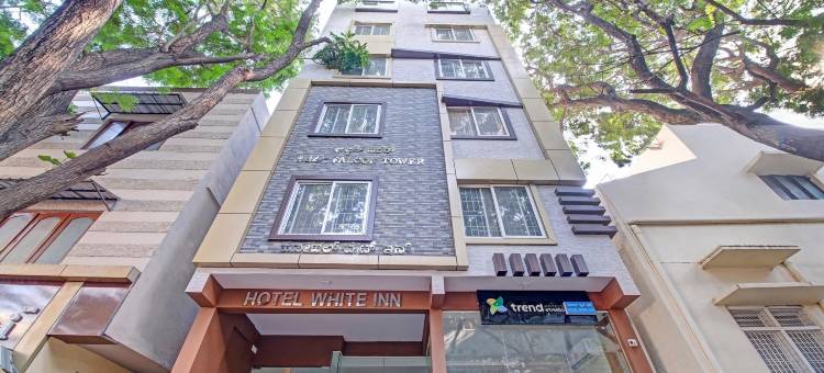 Treebo 白色旅馆(Treebo White Inn)图片