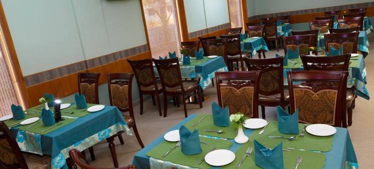 Hotel Gopalapuram International图片