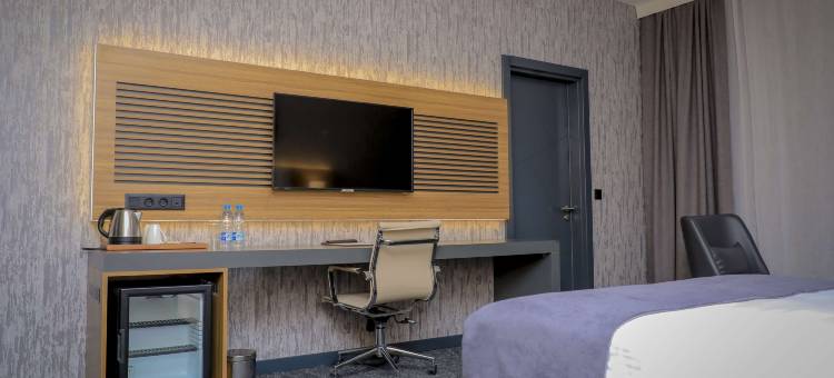 Best Western Premier DJ Hotel图片