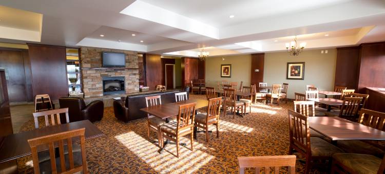 智选假日套房酒店德雷顿瓦利(Holiday Inn Express & Suites Drayton Valley)图片