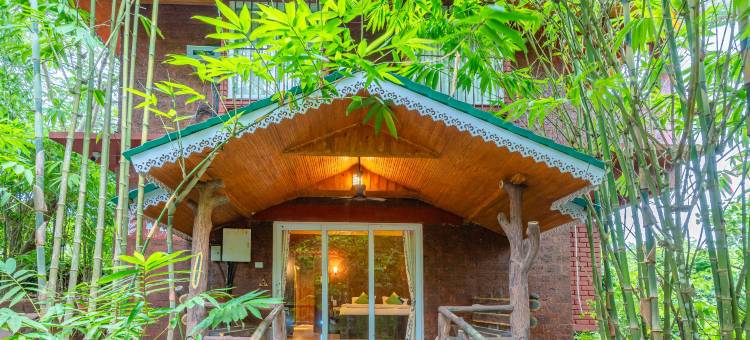 Treebo 岩谷(Treebo Rock Valley)图片