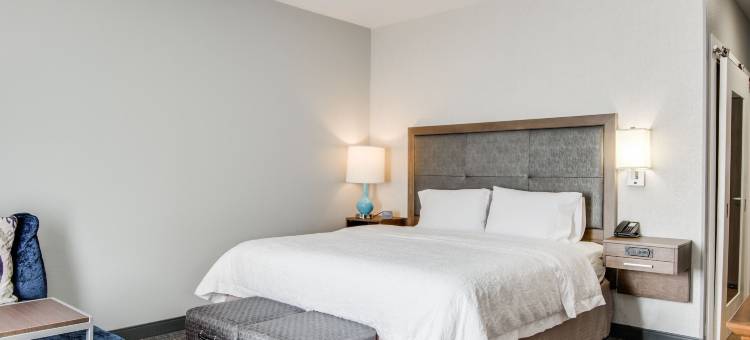 达拉斯/沃斯堡机场南欢朋套房酒店(Hampton Inn & Suites Dallas/Ft. Worth Airport South)图片