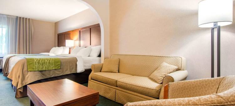 舒适套房酒店(Comfort Inn & Suites Shawinigan)图片