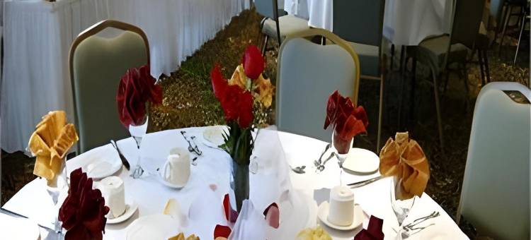 伦敦南假日酒店及套房(Holiday Inn & Suites London South by IHG)图片