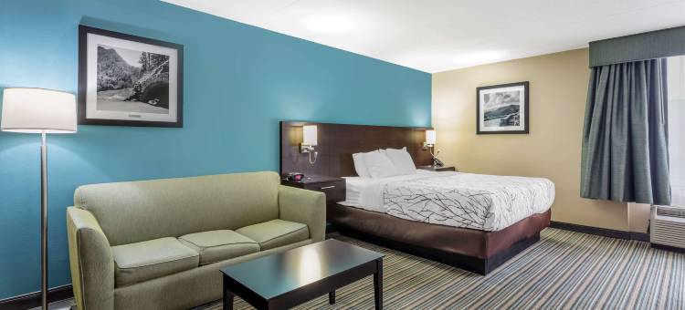 锡达布拉夫贝斯特韦斯特优质酒店(Best Western Plus Knoxville Cedar Bluff)图片