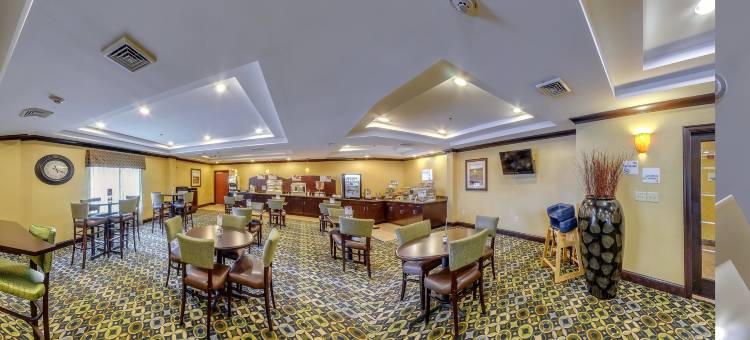 维斯维尔智选假日套房酒店(Holiday Inn Express & Suites Wytheville)图片