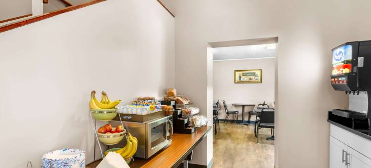 凯艺套房酒店(Quality Inn & Suites)图片