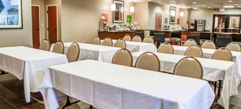 伦巴德阿狄森舒适套房酒店(Comfort Suites Lombard/Addison)图片